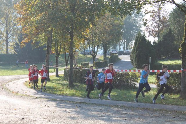 crosscountry_2015 32